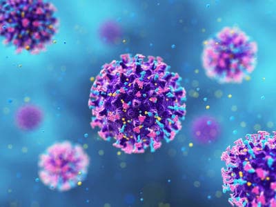 Hantavirus in Africa: Is Nigeria at Risk and What Families Need to Know Right Now