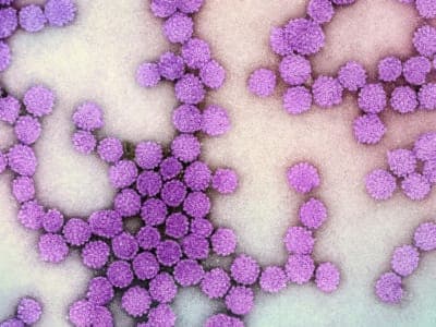 Communicable and Non-Communicable Diseases: Two Illnesses, One Family, and a Lesson We All Need to Learn