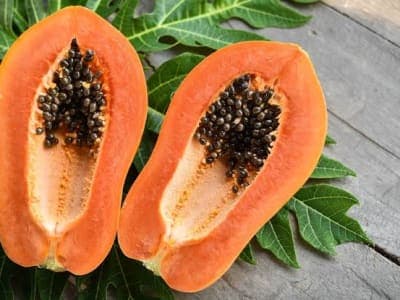 Can Papaya Really Heal Stomach Ulcer? Benefits, Risks, and What Science Says